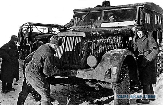 Рабочие лошадки второй мировой