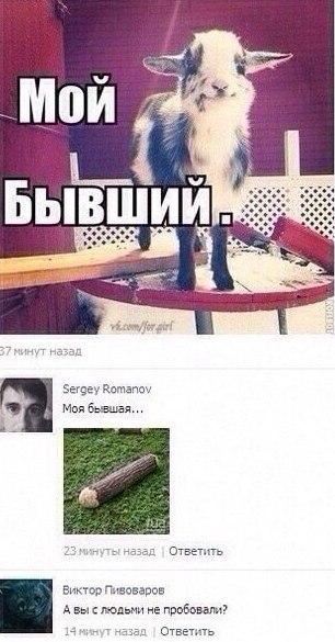Ужасы и приколы из соцсетей 18+