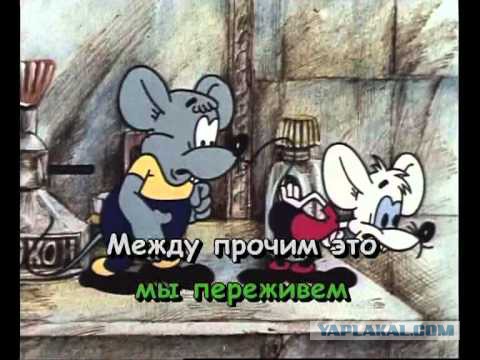 Субари просто так не сдаются