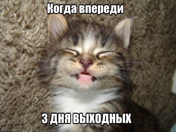 Всякого разного на пятницу!