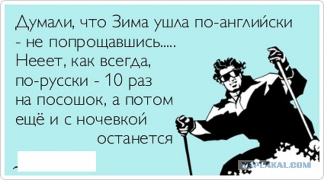 Жизнь как она есть 2