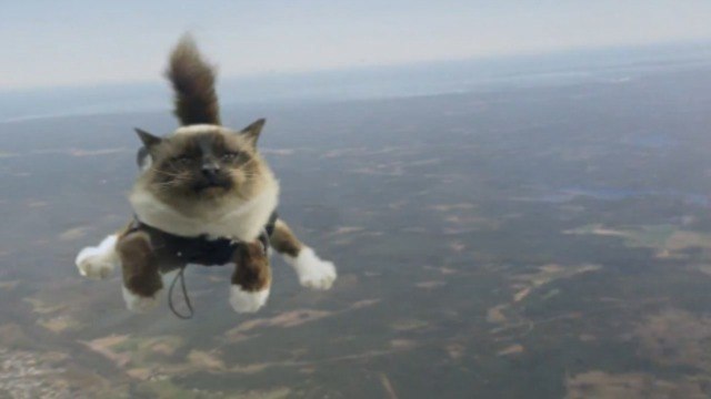 Непонятные и загадочные обстоятельства
