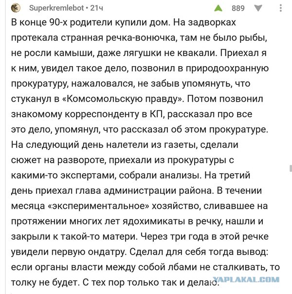 Субботняя порция перлов, высказываний, котоламповых историй