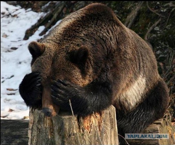 Бывают и такие дамы
