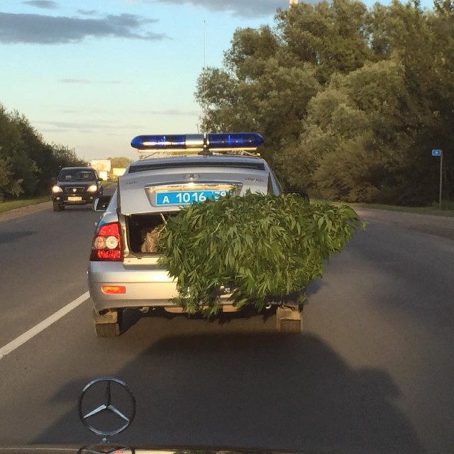 Аж двери не закрываются...