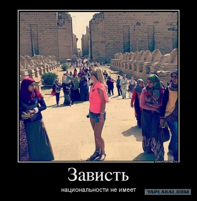 Подборка интересных и веселых картинок