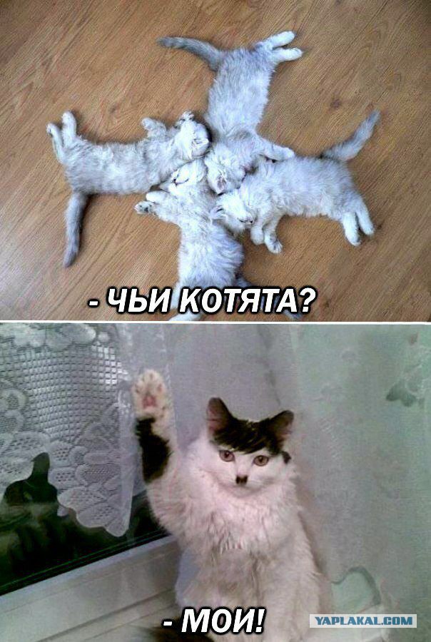 Журнал "Деградант" , предновогодней выпуск