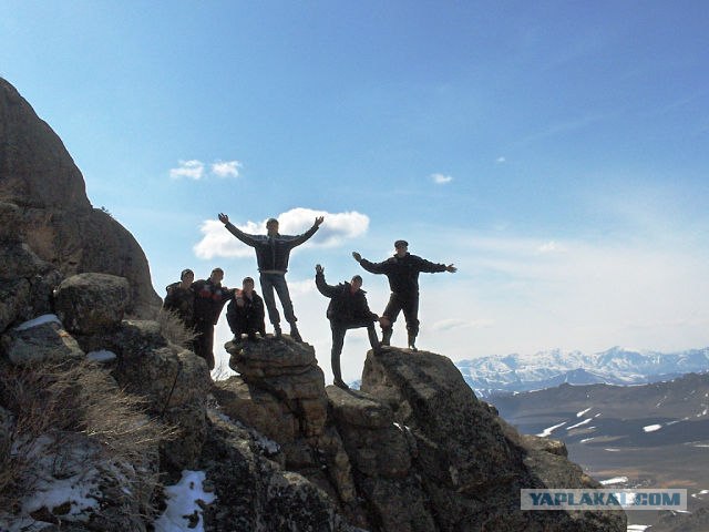 Психиатры считают подозрительным,