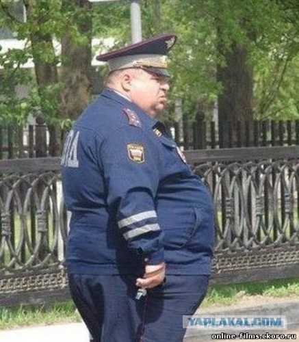 Весёлый ДПС-ник