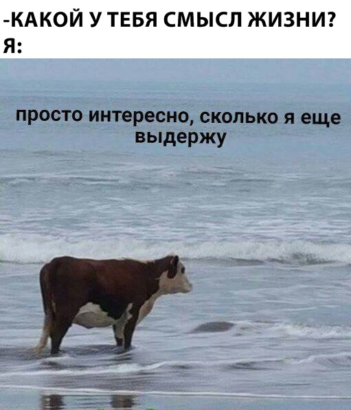 Картинок пост
