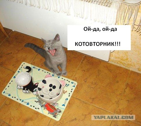 Интимный котовторник (23.08.11)