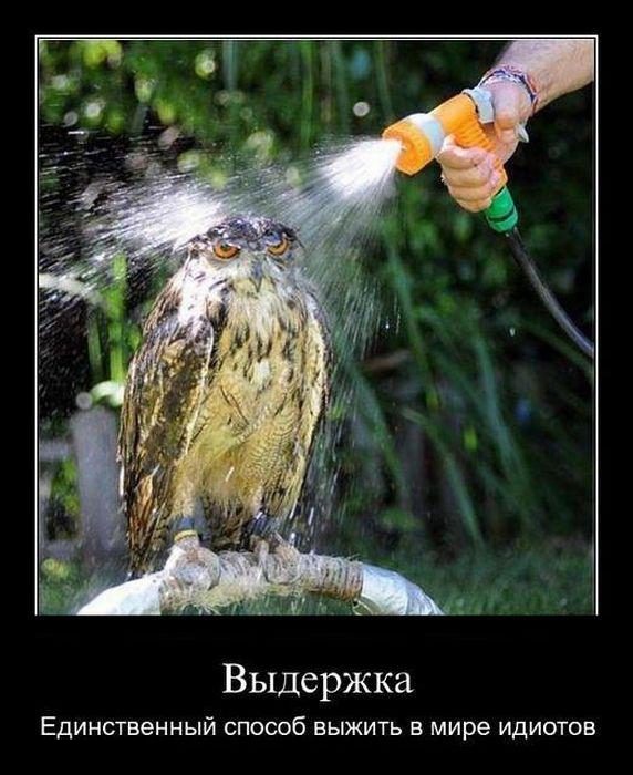 Демки и ностальджи