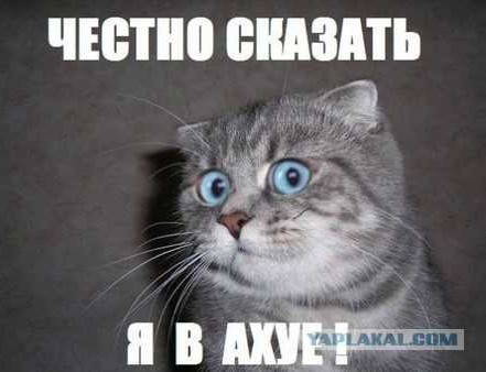 Забор надо? Обучалка для лентяев
