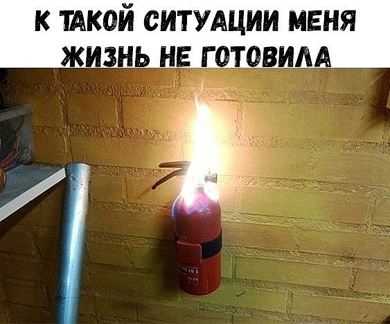 Приколюхи из скотсетей