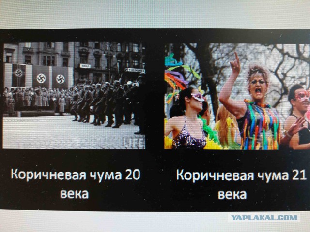 Боритесь с ними пока не поздно