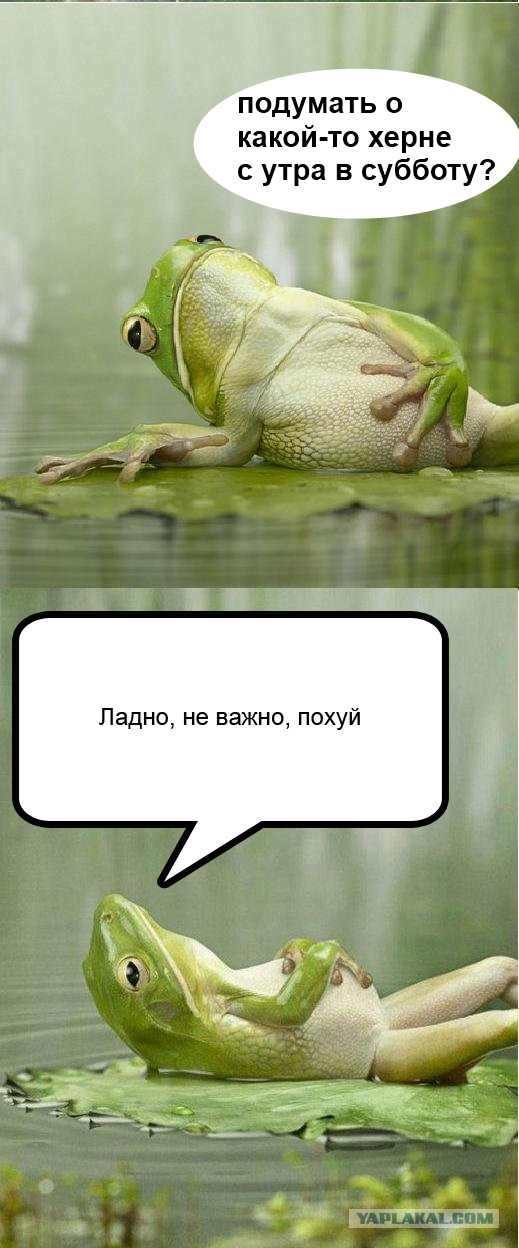Что это?