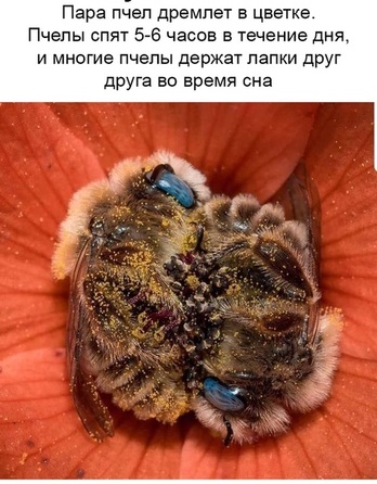 Картинки с надписями, истории и анекдоты 04.10.19