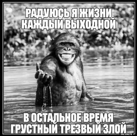 Немного вам деградации и от нашей нации