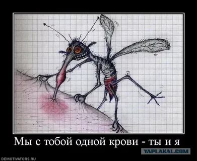 В Нью-Йорке пропала табличка с признанием в любви главе ВТБ Андрею Костину от Наили