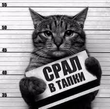 Пятничные пописиделки или о б**дях и мужчинах в белом пальто.