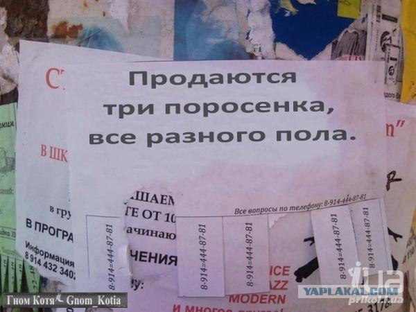 Объявления