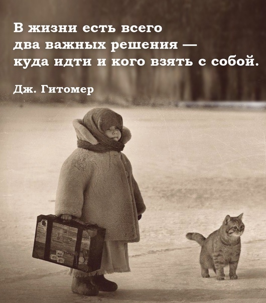 Так себе картинки 20.05.20