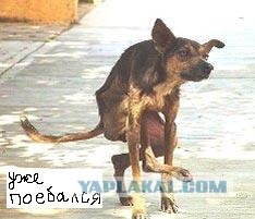 Фотожаба: Таблички возвращаются