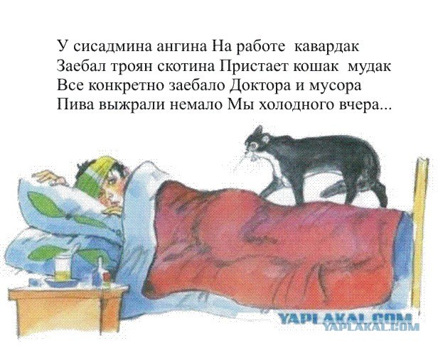 Кот, Антошка и порошок