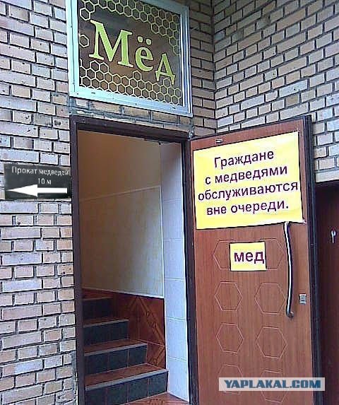 Фотожаба: Хочешь меда - бери с собой медведя