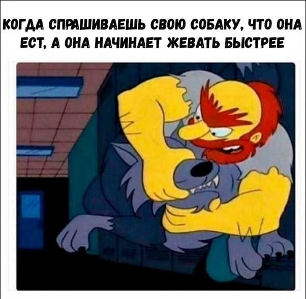 Юмор в картинках 8.10.20