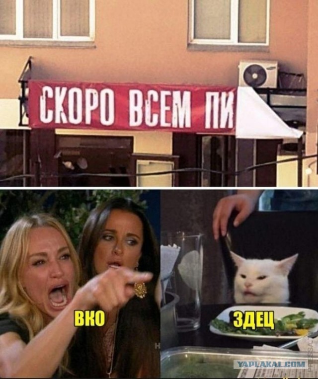 Картинки и мемы для настроения 030