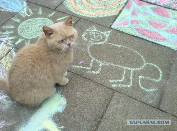 Рисуем кота