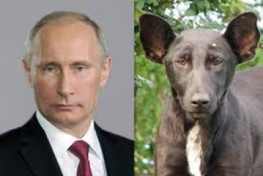 Путин заявил о способности интернета разрушить общество изнутри