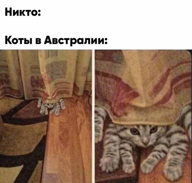 Картинки разные 24.03.2021