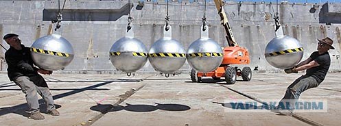 Котята изучают законы физики на практике