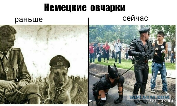 Фотки и картинки: юморные и красивые, забавные и милые 12.04.21
