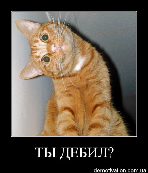 Томск - дурак бросается на машину