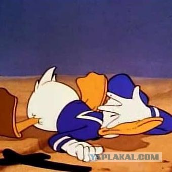 Студия Disney показала вступительный ролик нового мультсериала "Чип и Дейл: Жизнь в парке"