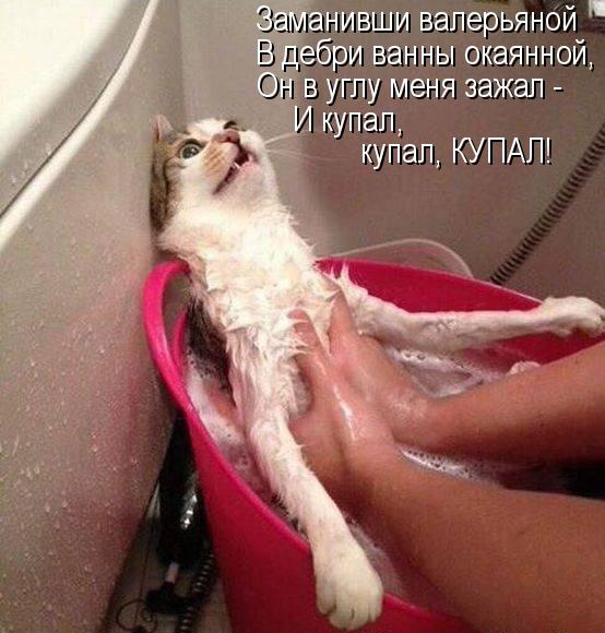Так себе картинки 24.06.21