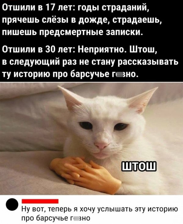 Картинки и мемы для настроения 04.08.2021