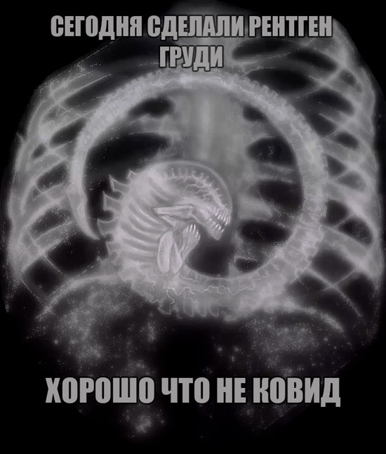 16144284.jpg