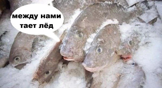 Рыбов, показываю. Красивое