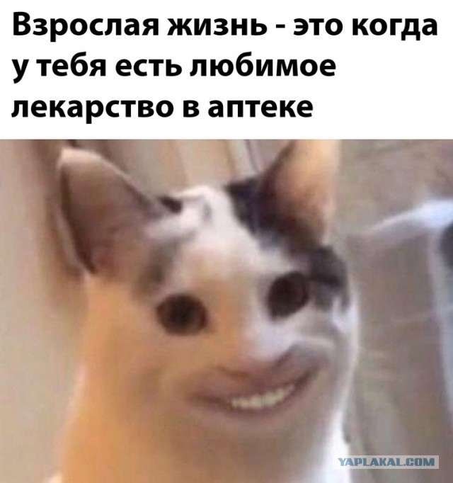 Картинки. 12.03.22