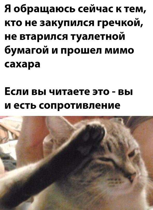 Весёлый полтишок 23.03.22