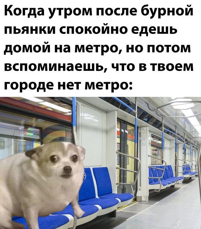 16600284.jpg
