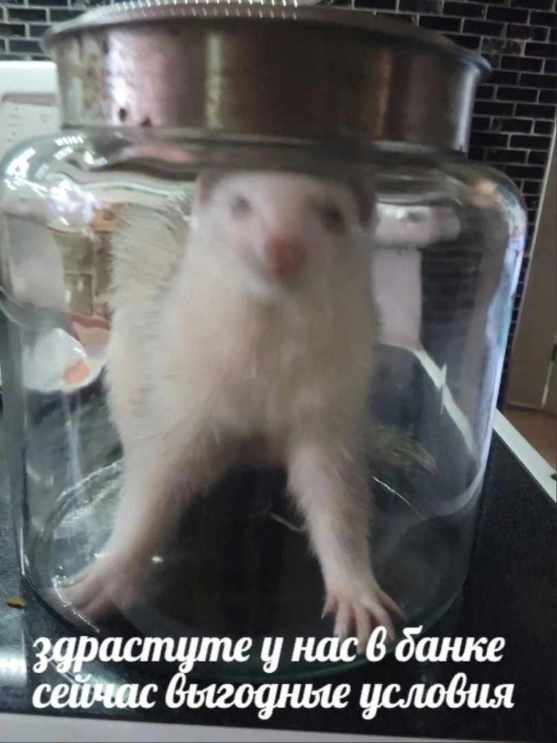 16803284.jpg