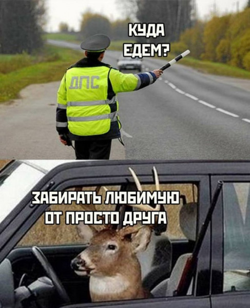 Пятница. И немного слегка пошлых картинок с надписями и без 16+ (10.06)