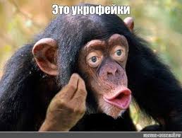 Украина остановила транзит российской нефти в Венгрию, Чехию и Словакию