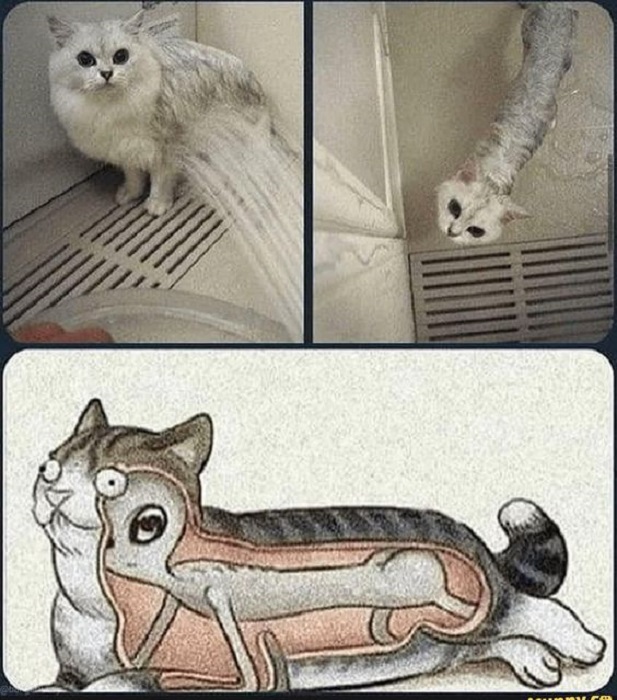 Картинки со смыслом