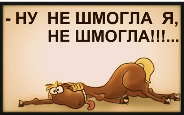 Путин ответил на вопрос, почему западная военная техника доезжает до линии фронта
